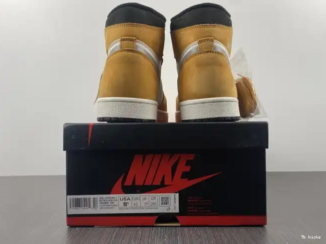 Reps TBK 1 Light Jordan DB2889-700 Element Gore-Tex Curry High 0619